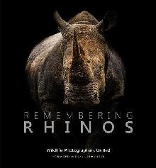 Remembering Rhinos