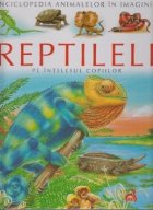 Reptilele intelesul copiilor