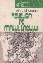 Revelion malul lacului