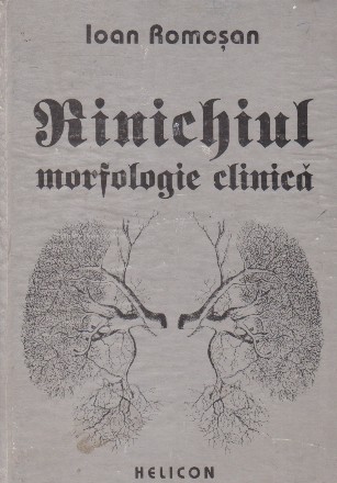 Rinichiul. Morfologie clinica