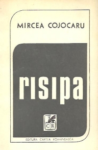 Risipa - Roman