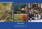 Romania Bucovina (romana engleza germana)