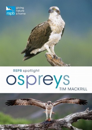 RSPB Spotlight Ospreys