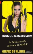 SAS 134: Drumul Damascului vol. II