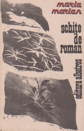 Schite de roman