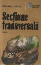 Sectiune transversala eseuri insemnari calatorie