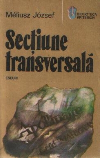 Sectiune transversala - eseuri, insemnari de calatorie, evocari