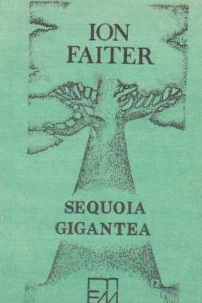 Sequioa gigantea