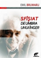 Sfisiat umbra unui inger