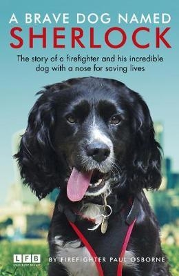 Sherlock: The Fire Brigade Dog