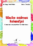 Sünike számos kalandjai matematika munkafüzet