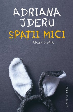 Spaţii mici