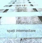 Spatii intermediare