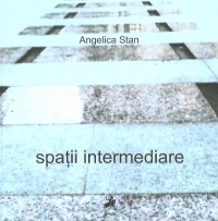 Spatii intermediare