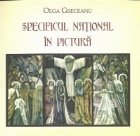 Specificul national pictura