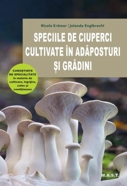 Speciile de ciuperci cultivate în adăposturi şi grădini