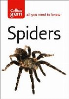 Spiders