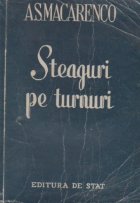 Steaguri turnuri