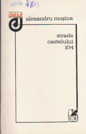 Strada Castelului 104 (Volum de debut)