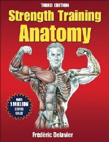 Strength Training Anatomy