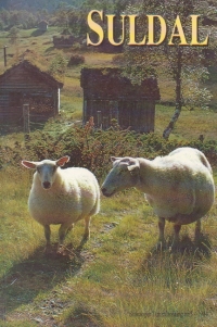 Suldal - Stavanger Turistforenigns Yearbook 1993