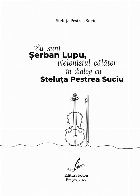 sunt Şerban Lupu violonistul călător