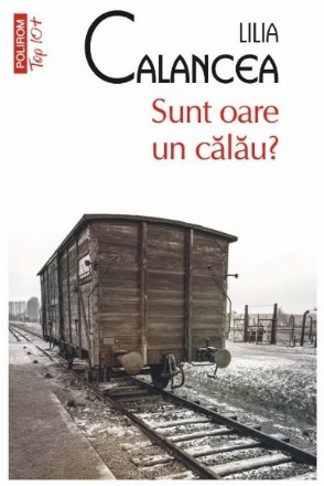 Sunt oare un călău? : roman