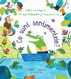 sunt sentimentele (Usborne)