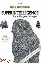 Superintelligence