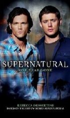 Supernatural One Year Gone