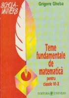 Teme fundamentale studiul matematicii pentru