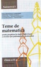 Teme matematica Semestrul Clasa