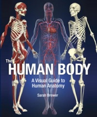 THE HUMAN BODY: A VISUAL GUIDE TO HUMAN ANATOMY