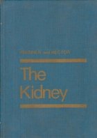 The Kidney Volume