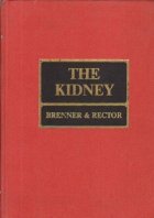 The Kidney Volume