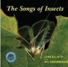 The Songs Insects