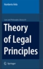 Theory Legal Principles