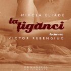 tiganci (Audiobook)