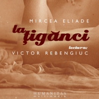 La tiganci (Audiobook)