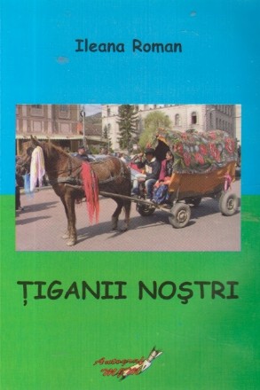 Tiganii nostri