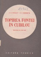 Topirea fontei in cubilou (traducere din limba rusa)