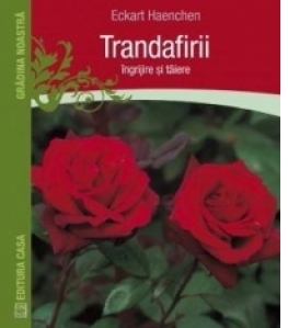 Trandafirii: ingrijire si taiere