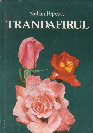 Trandafirul