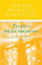 Trezirea minții luminoase