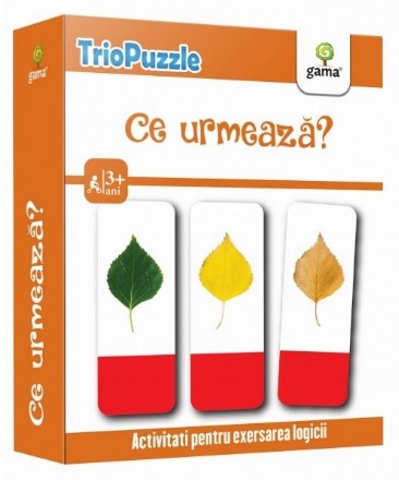 TrioPuzzle: Ce urmeaza?