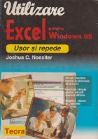 Utilizare Excel pentru Windows 95