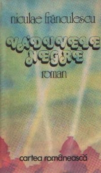 Vaduvele negre - Roman