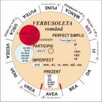 Verbusoleta - limba romana