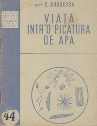 Viata intr'o picatura de apa