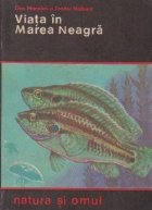 Viata Marea Neagra